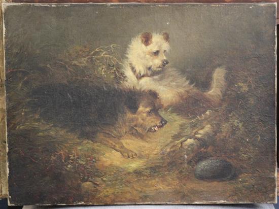 Edward Armfield (1817-1896) Terriers beside a rabbit hole, 12 x 16in. unframed.